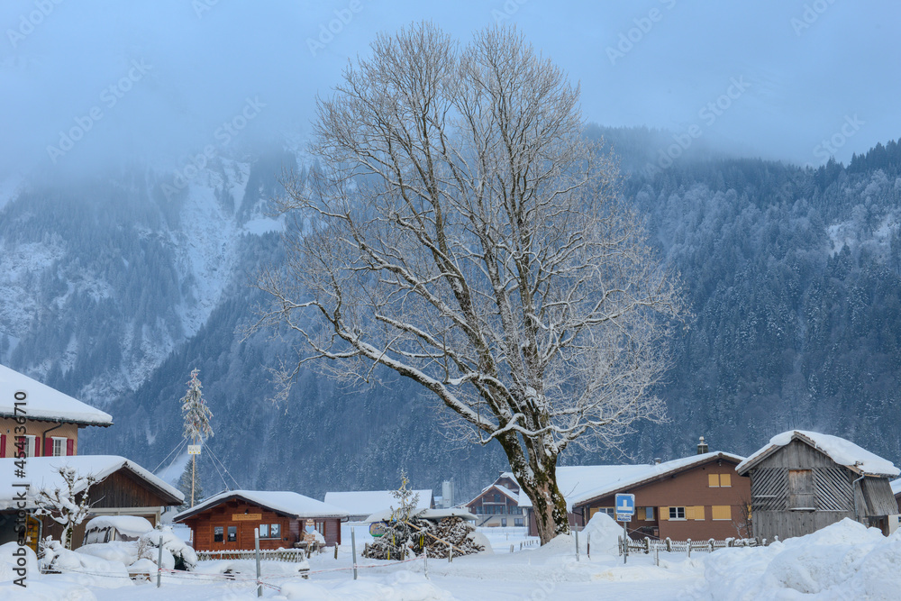 Winter landscape view at the village of Engelberg in the Swiss alps