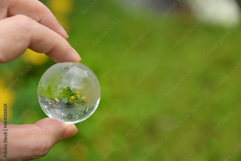 Crystal Globe, Concept of Ecology Crystal Globe, Concept of Ecology
