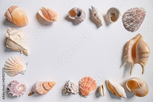 Frame made of various seashells