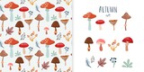 Autumn set with seamless pattern and a collection with seasonal elements, different mushrooms and plants