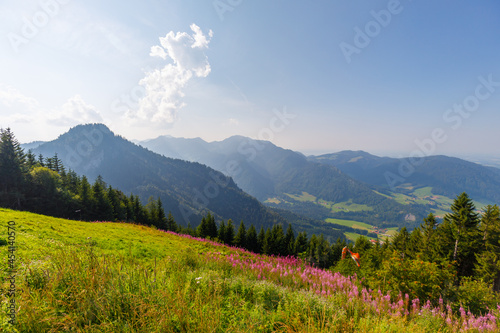 Mountains near Ruhpolding with meadows on sunny day