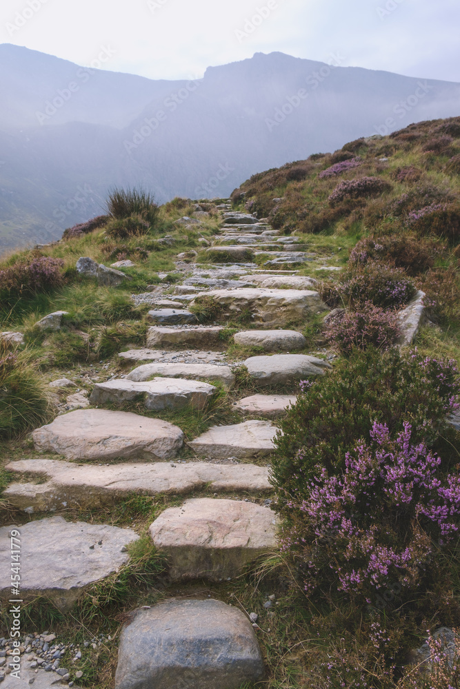 mountain path Snowdonia, Wales, UK