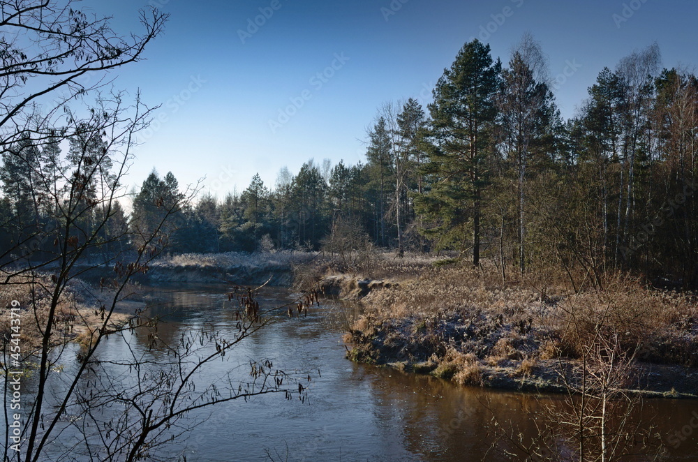 Winter morning on the bend of the Tanew River.