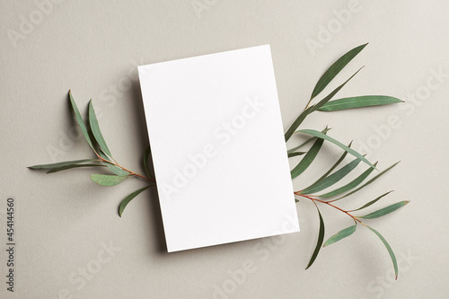 Greeting card or invitation mockup with green eucalyptus twigs