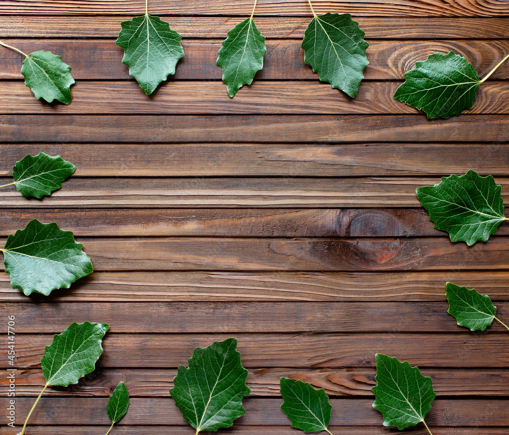 green leaves on a wooden background, top view. green leaves on a wooden background, top view.
