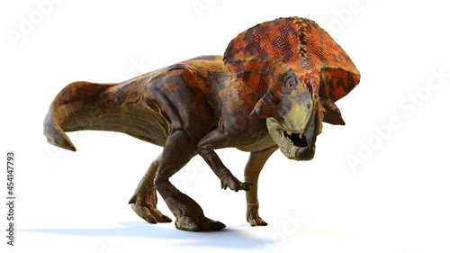 Protoceratops, dinosaur from the Late Cretaceous period, isolated with shadow on white background © dottedyeti