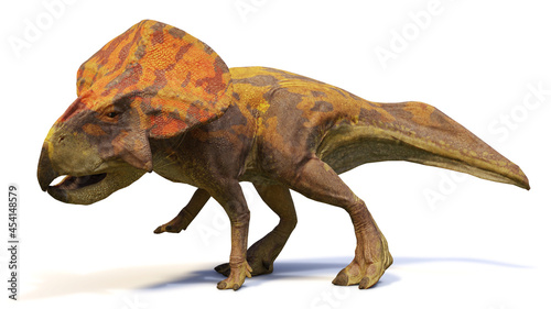 Protoceratops, dinosaur from the Late Cretaceous period, isolated on white background