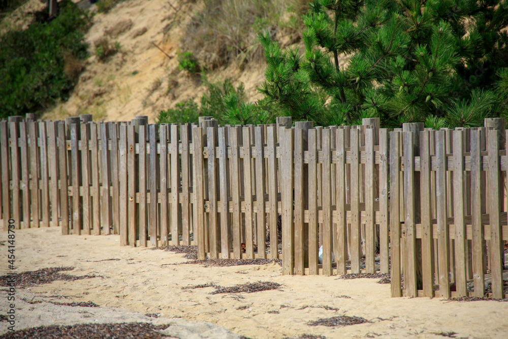 Rows of a wooden fence on a sandy beach Rows of a wooden fence on a sandy beach