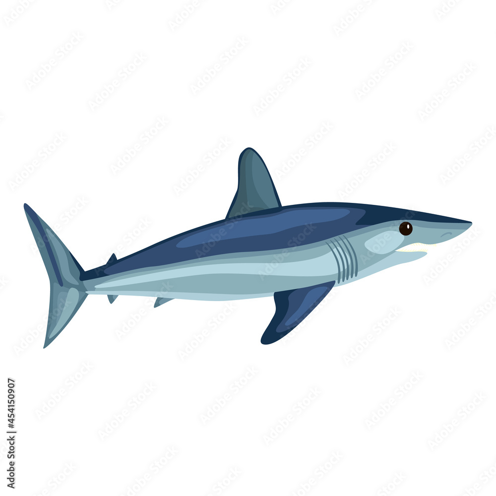Mako shark isolated on white background. Cartoon character of ocean for children.