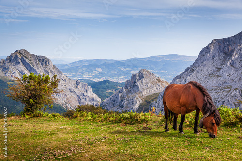 urkiola national park landscape © christophe