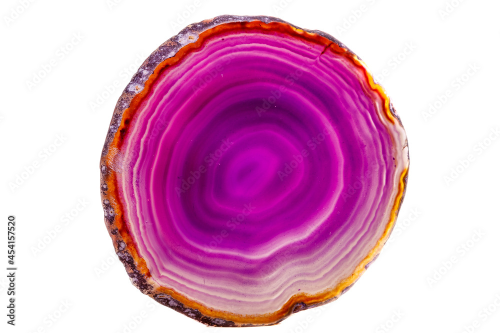 Macro mineral stone Purple Agate breed a white background Macro mineral stone Purple Agate breed a white background