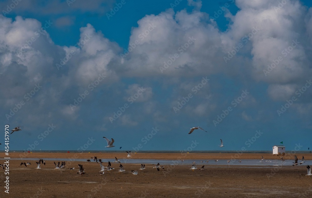 The beautiful long beach of Zeebrugge on the North Sea in Belgium in summer The beautiful long beach of Zeebrugge on the North Sea in Belgium in summer