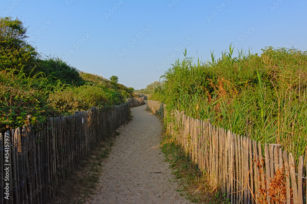 Path through the dunes along the French opal coast near Calais on a sunny day with clear blue sky
