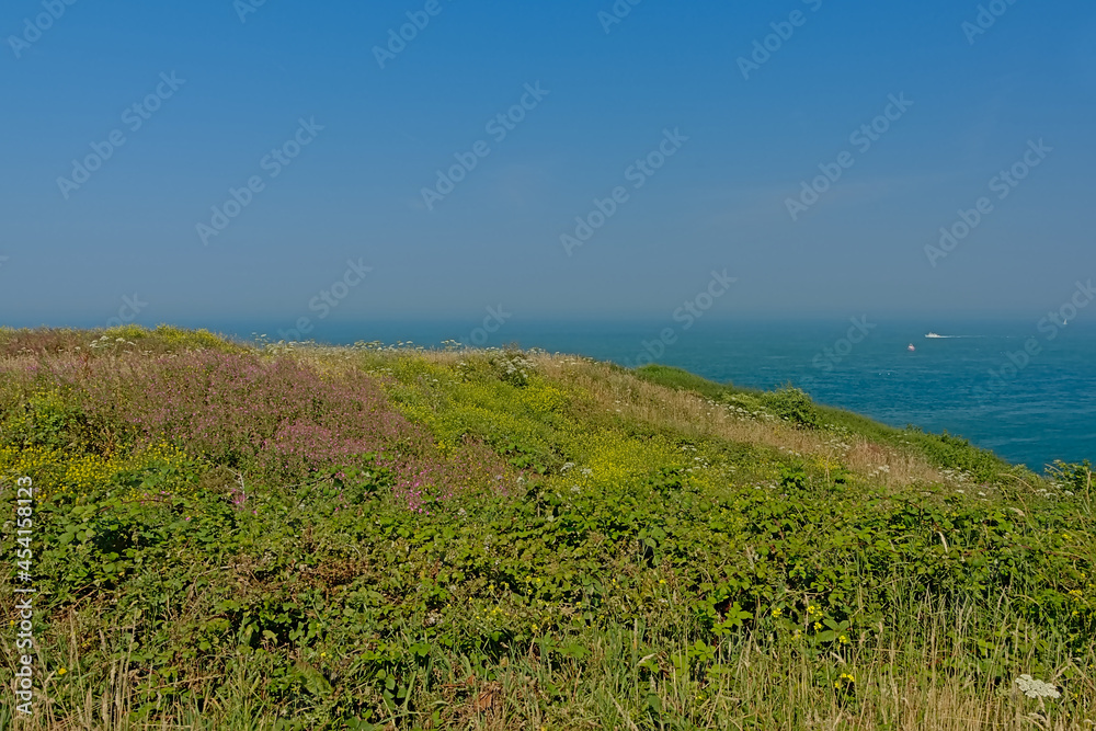 View on the North sea from the green fields on the cliffs of the Opal coast