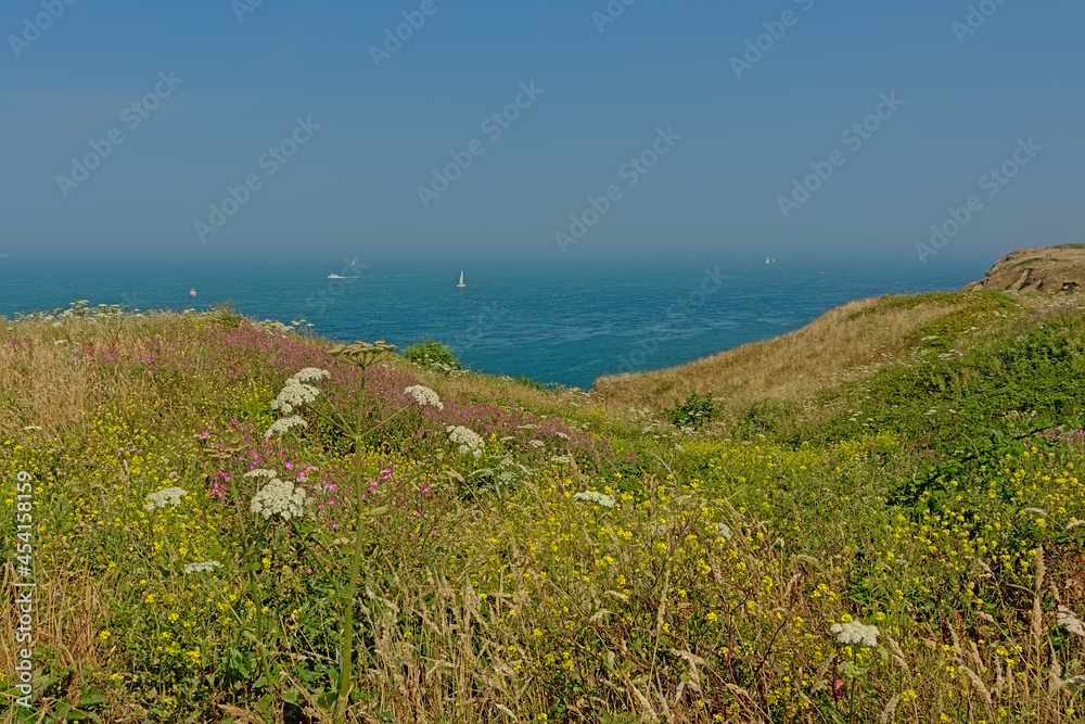 View on the North sea from the green fields on the cliffs of the Opal coast