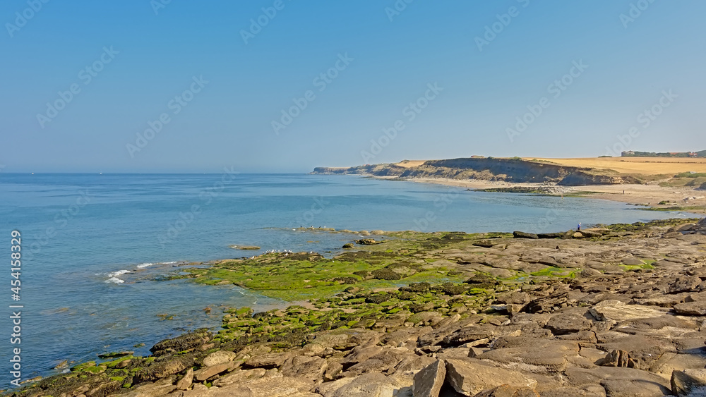 Rocky beach with green seaweed and cliffs in the background along Opal cost of the North sea in soft morning light in Nord pas de Calais region, France