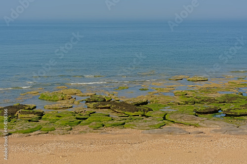 Rocks with algae the opal coast of the north sea, nord pas de Calais, France 
