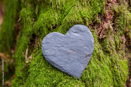 Stone heart shape near a tree. Natural burial grave in the forest. Heart on grass or moss. Tree burial, funeral cemetery and All Saints Day concepts