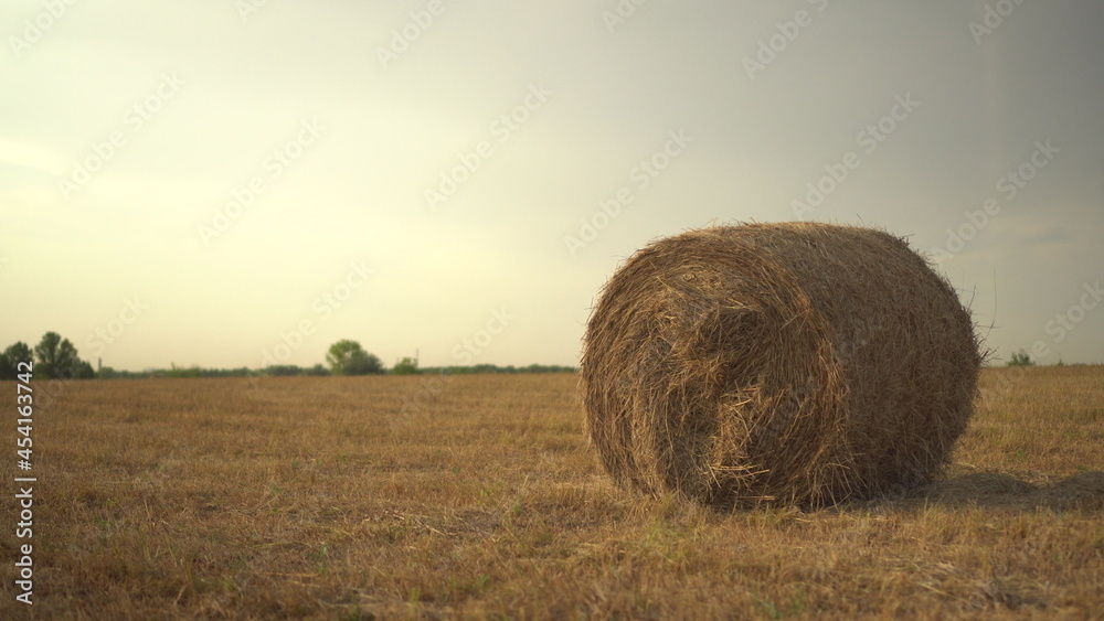Swirling haystack in a field. Harvesting in the field.