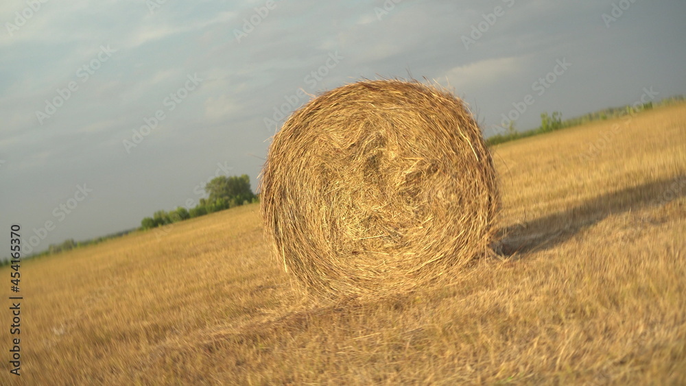 Swirling haystack in a field. Harvesting in the field. Swirling haystack in a field. Harvesting in the field.