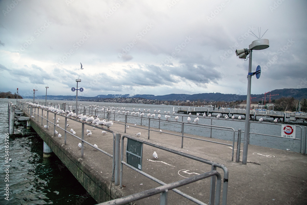 A pier on Lake Zurich with many seagulls resting in winter.