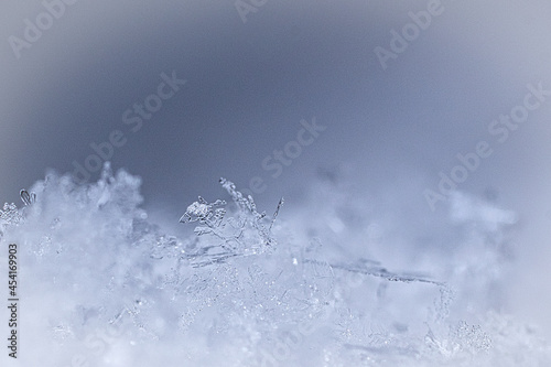snowflake and ice crystal in snow. shown individually. winter atmosphere