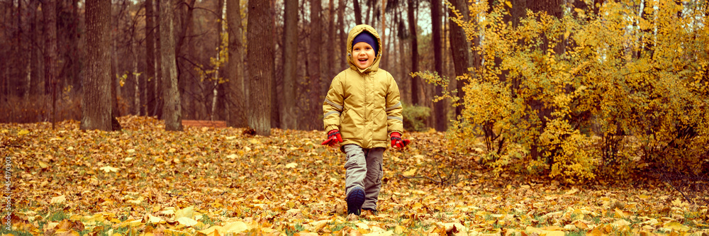 a little four year old kid happy smiling boy walks in an autumn forest or park. banner a little four year old kid happy smiling boy walks in an autumn forest or park. banner