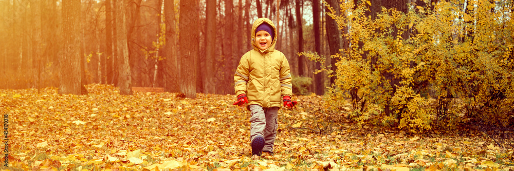 a little four year old kid happy smiling boy walks in an autumn forest or park. banner. flare a little four year old kid happy smiling boy walks in an autumn forest or park. banner. flare