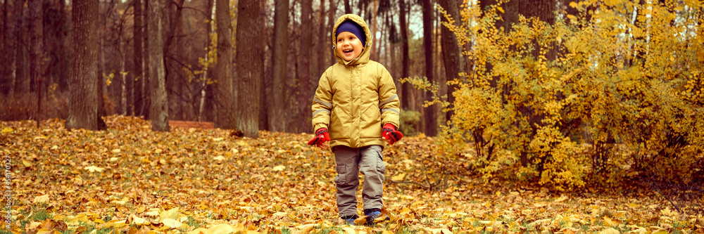 a little four year old kid happy smiling boy walks in an autumn forest or park. banner a little four year old kid happy smiling boy walks in an autumn forest or park. banner