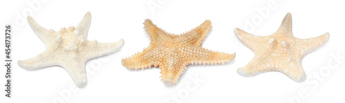 Set with beautiful sea stars on white background. Banner design