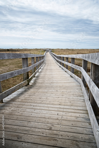 wooden walkway to the beach © Igor