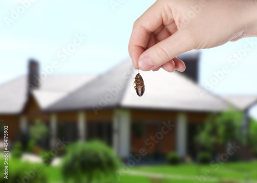 Woman holding dead cockroach and blurred view of modern house on background. Pest control