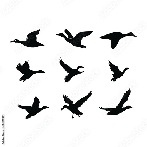 Flying Duck silhouette