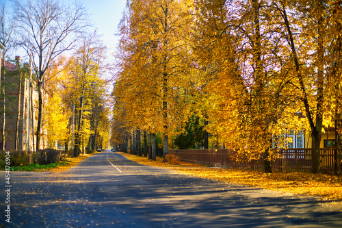 Autumn in the park. Road along the autumn trees.