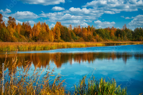 Autumn landscape with lake and the forest on the shore.