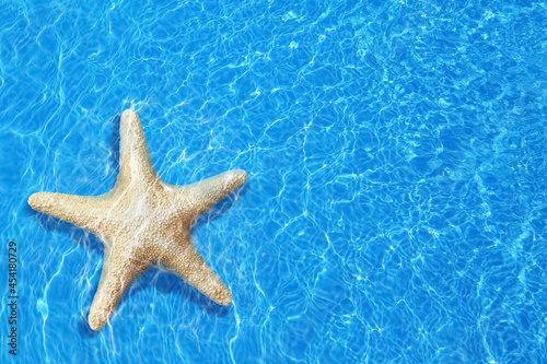 Beautiful sea star on clear blue water, top view