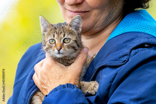 Photography Elderly woman holding a small striped kitten, a kitten in the arms of a woman