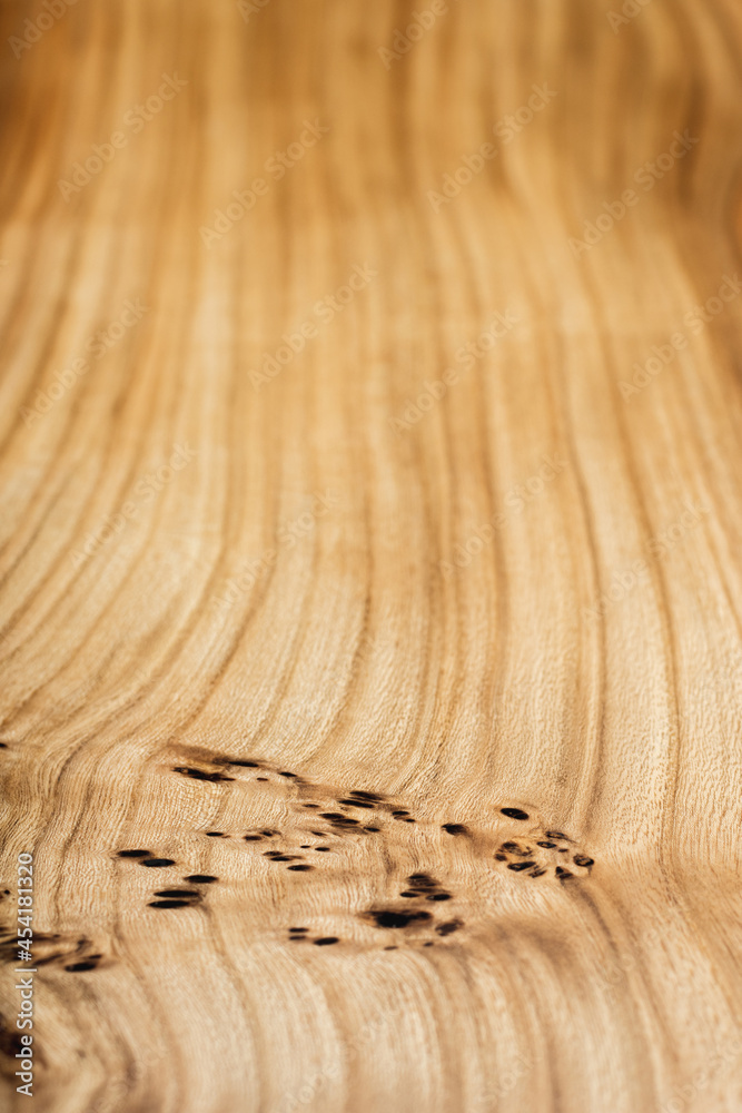 Style wooden slab, saw cut wood treated with varnish close-up on black. Isolate.
