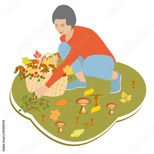 Woman collects mushrooms and berries in a wicker basket - isolated on white background. Autumn season.