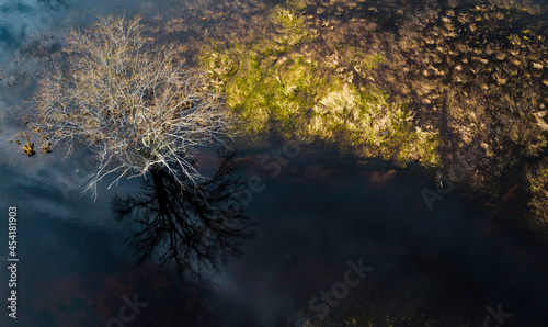 Photography Trees abound