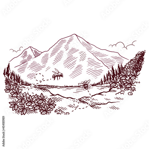 beautiful scenery natural engraved style