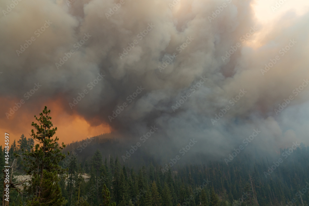 Fototapeta premium Flames approaching Highway 50 during Caldor Fire in California