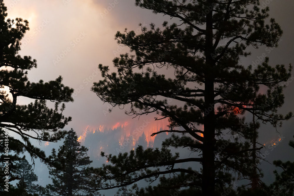 Flames approaching Highway 50 during Caldor Fire in California. The forest is burning. Flames approaching Highway 50 during Caldor Fire in California. The forest is burning.