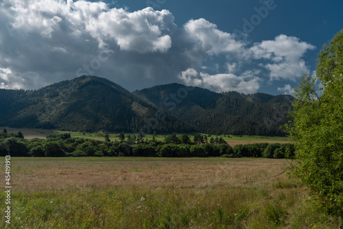 Meadows and hills near Liptovska Porubka village in summer hot day