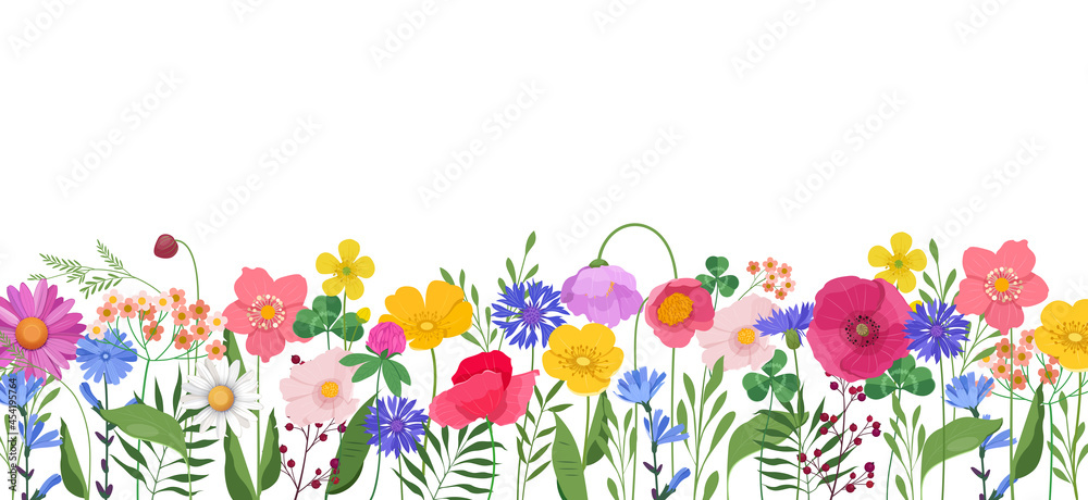 Horizontal banner with multicolored wildflowers and leaves. Poppies, buttercups, cornflowers, cosmos, etc. on white background. Vector illustration