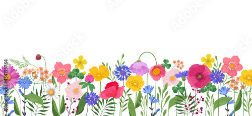 Horizontal banner with multicolored wildflowers and leaves. Poppies, buttercups, cornflowers, cosmos, etc. on white background. Vector illustration