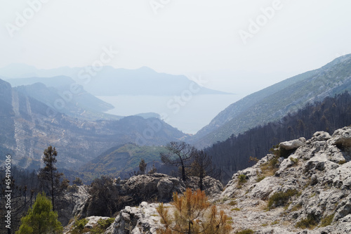 Croatia, Peljesac Peninsula burnt out. Forest fire during hot summer in Croatia. Burnt out trees. 