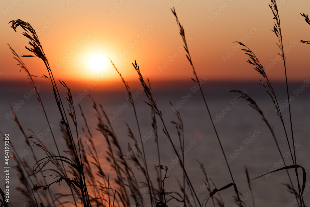 Obraz premium Selective soft focus of dry grass and colorful sunset. Beautiful colorful sunset over the sea. The red sun and the absence of clouds. Sea horizon. The concept of a postcard picture