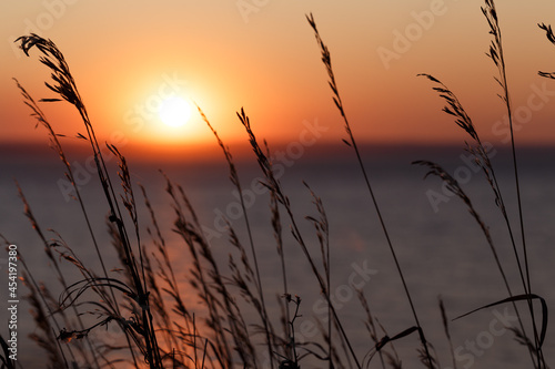 Selective soft focus of dry grass and colorful sunset. Beautiful colorful sunset over the sea. The red sun and the absence of clouds. Sea horizon. The concept of a postcard picture