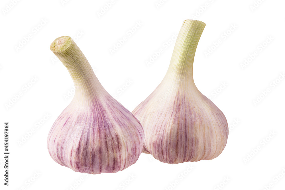 Fototapeta premium Garlics isolated on white background